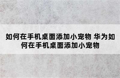 如何在手机桌面添加小宠物 华为如何在手机桌面添加小宠物